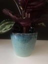 Pot Planter Blauw 23x19