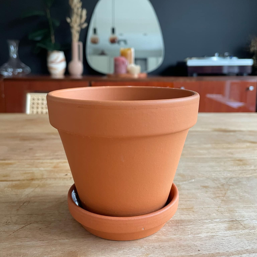 Pot Terracotta